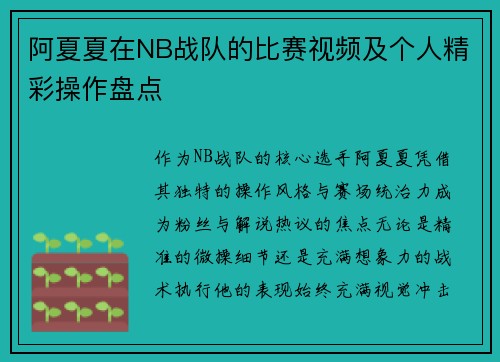 阿夏夏在NB战队的比赛视频及个人精彩操作盘点